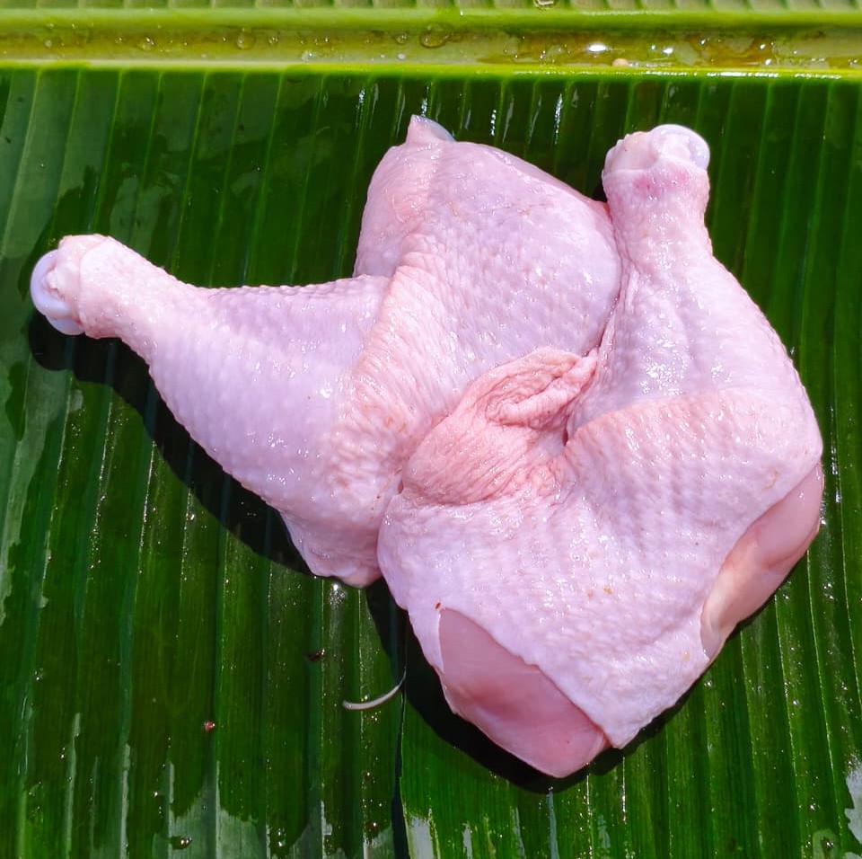 Paha Ayam Utuh