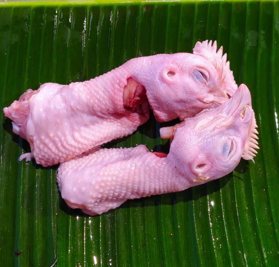 Kepala Ayam