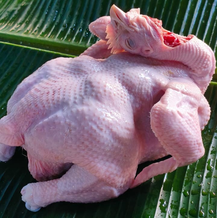 Ayam Utuh